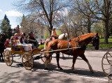 A-2 The Wagon Train_29.jpg