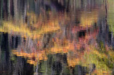 Autumn Reflections