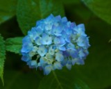 _DSC0017.jpg