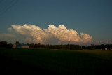 DSC_0044.jpg