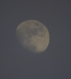 moon 5-15 at 7:30pm