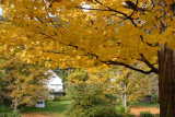 New England Fall Foilage