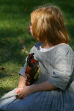 ... a shy violinist ...