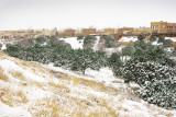 BackyardSnowDec08.jpg