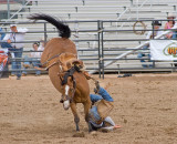 Bronco3.jpg
