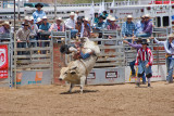 BullRidn1.jpg