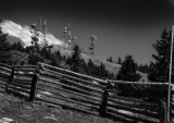 View3_BW_Reduced.jpg