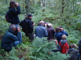 2010 Noordse waterlijster / Northern Waterthrush