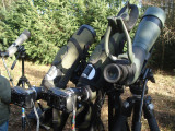 2008 Dwerguil