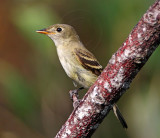empid_3565.jpg