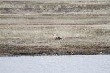 _MG_2260.JPG