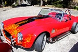 Ford AC Cobra_0234.jpg