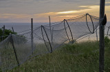 Fishermans net