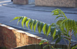 Morning on the day the sun moves South