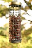 Nuts in May