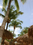 aruba 192-2.jpg