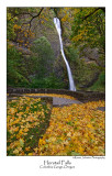 Horstail Falls.jpg