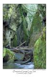 Oneonta Gorge Log Jam.jpg