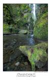 Oneonta Gorge 3.jpg