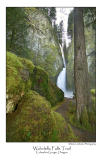 Wahclella Falls Trail.jpg