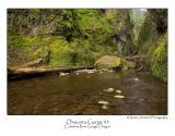Oneonta Gorge 3.jpg
