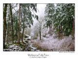 Wahkeena Falls Pano.jpg