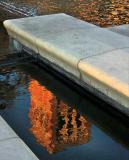 Royce Hall reflection in the Shapiro Fountain UCLA