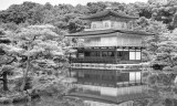 Kinkakuji Golden Pavilion