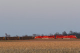 INRD 9002 Beehunter IN 04 Apr 2009