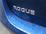 Rainy Rogue
