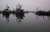 Harbor  with Morning Fog