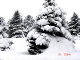 nebr_snow_2006