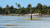 Fishing Scene