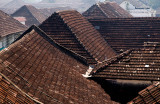 Rooftops, Kochi