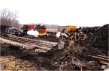 (Move)able Frog at Derailment Site