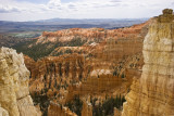 _MG_5962 1.jpg