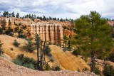 _MG_5844 1.jpg
