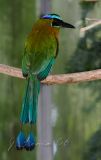 _MG_2791.jpg