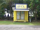 Small dogs need a small SPCA