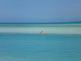 Sitting on a sand bar
