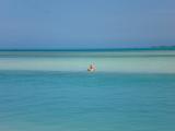 Sitting on a sand bar