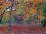 Thornes Park in autumn