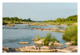 Downstream, Llano River