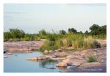 Channel edge, Llano River