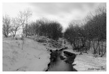 Virgil Creek, downstream view, Kane County