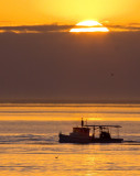 Oyster Boat 3