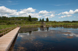 Boardwalk and Hut