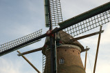 Biervliet