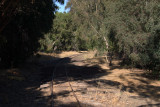 William Patterson area