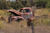 Wrecks at Emu Vale01.jpg